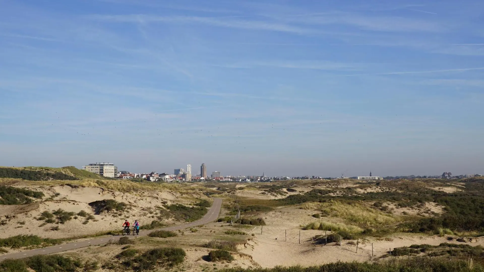 Reumann Holiday Apartments De Schelp 12 Zandvoort Holandia